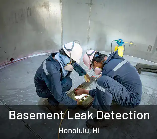  Basement Leak Detection Honolulu, HI