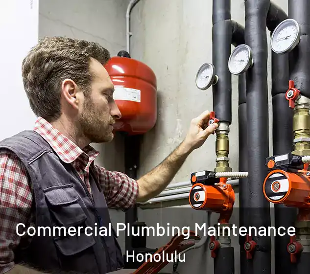  Commercial Plumbing Maintenance Honolulu