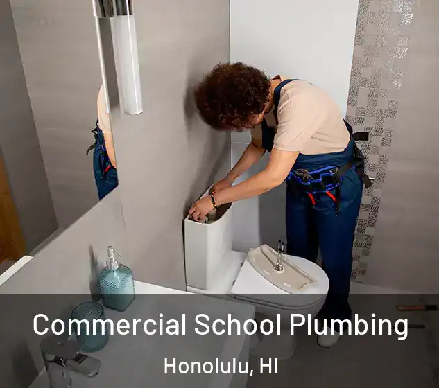  Commercial School Plumbing Honolulu, HI