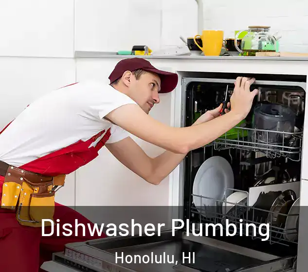  Dishwasher Plumbing Honolulu, HI