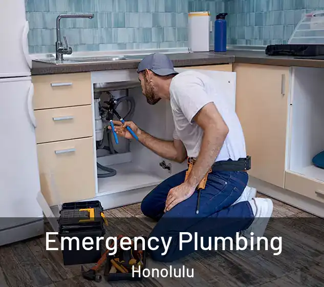  Emergency Plumbing Honolulu