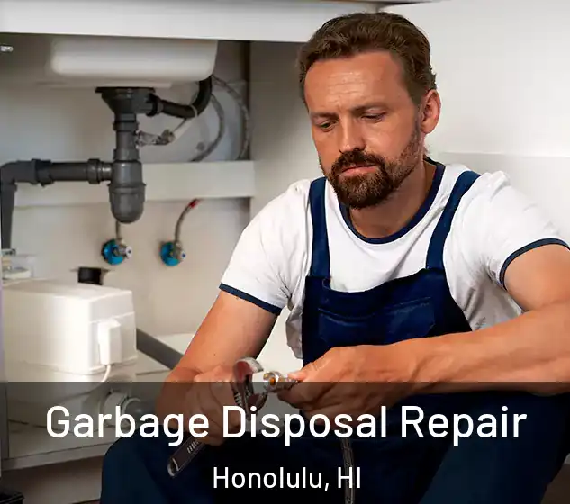  Garbage Disposal Repair Honolulu, HI