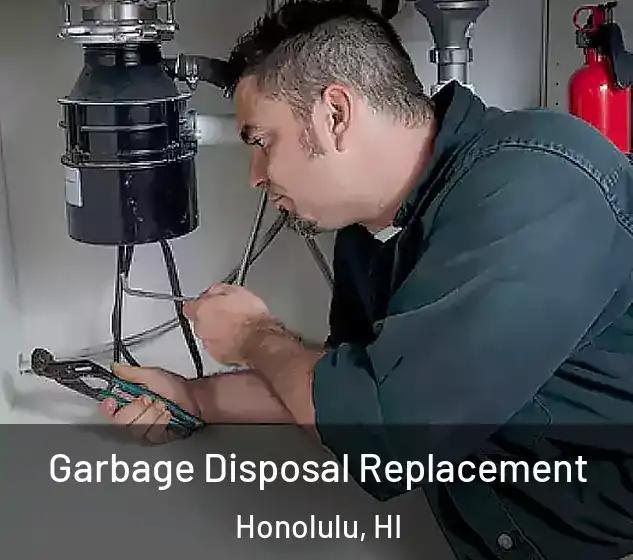  Garbage Disposal Replacement Honolulu, HI
