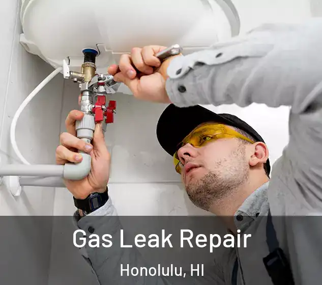  Gas Leak Repair Honolulu, HI