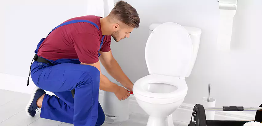 Scope of Bathroom Toilet Bowl Replacement Services in Honolulu, HI