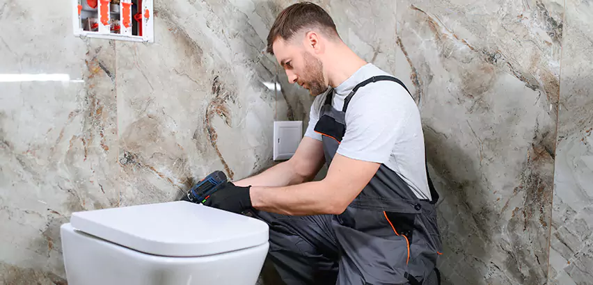 Scope of Bathroom Toilet Replacement Services in Honolulu, HI