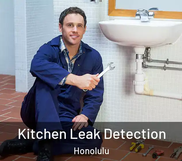 Kitchen Leak Detection Honolulu