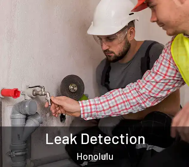  Leak Detection Honolulu