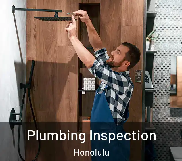  Plumbing Inspection Honolulu