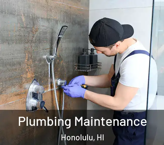  Plumbing Maintenance Honolulu, HI