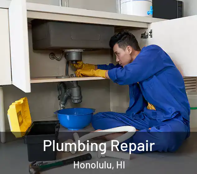  Plumbing Repair Honolulu, HI