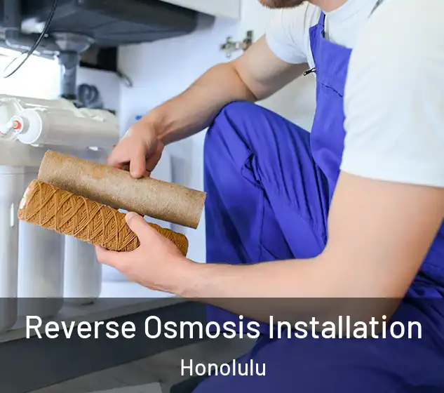  Reverse Osmosis Installation Honolulu