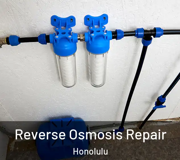  Reverse Osmosis Repair Honolulu