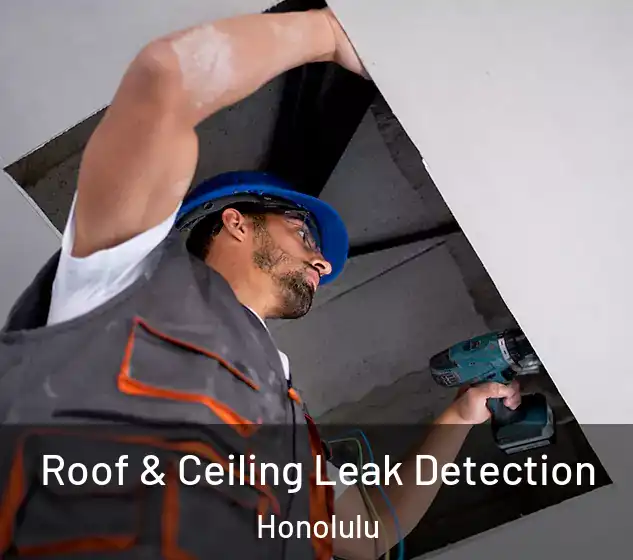  Roof & Ceiling Leak Detection Honolulu