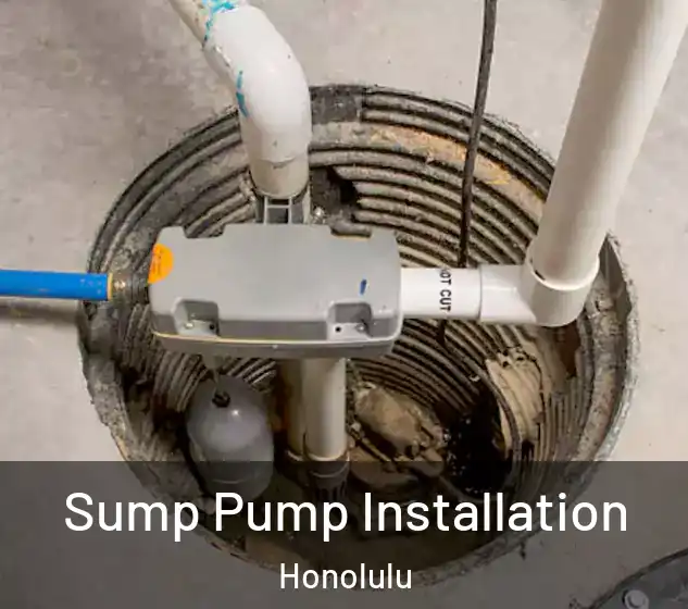  Sump Pump Installation Honolulu