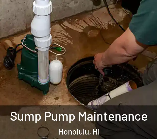  Sump Pump Maintenance Honolulu, HI