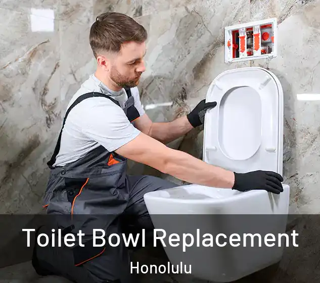  Toilet Bowl Replacement Honolulu