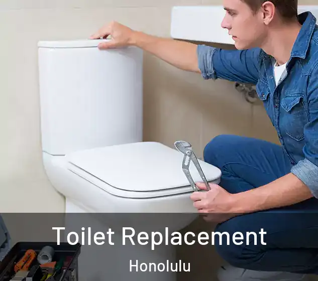 Toilet Replacement Honolulu