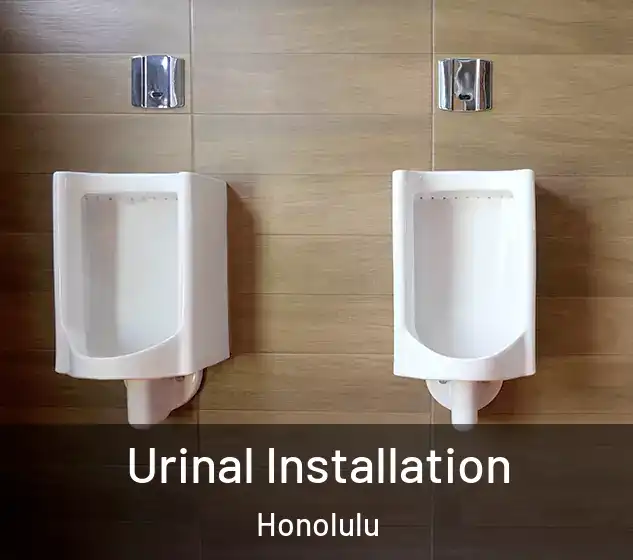  Urinal Installation Honolulu