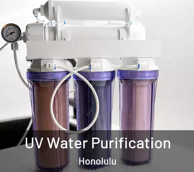  UV Water Purification Honolulu