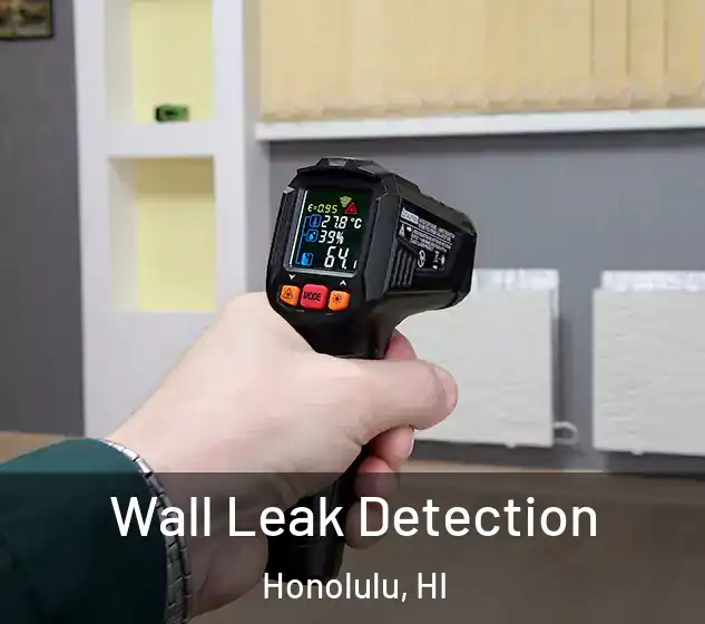  Wall Leak Detection Honolulu, HI