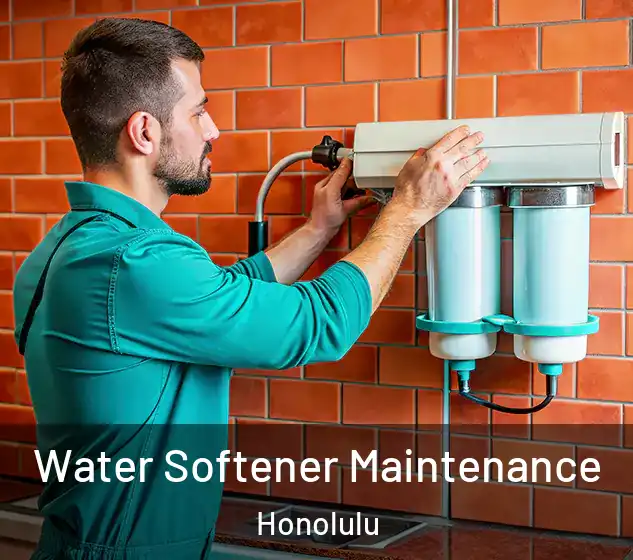  Water Softener Maintenance Honolulu
