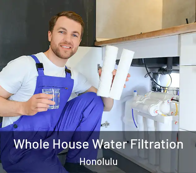  Whole House Water Filtration Honolulu